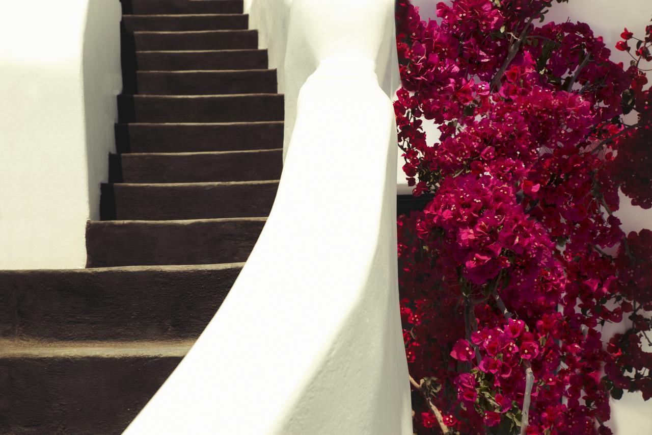 Chelidonia Luxury Suites Oia  Esterno foto